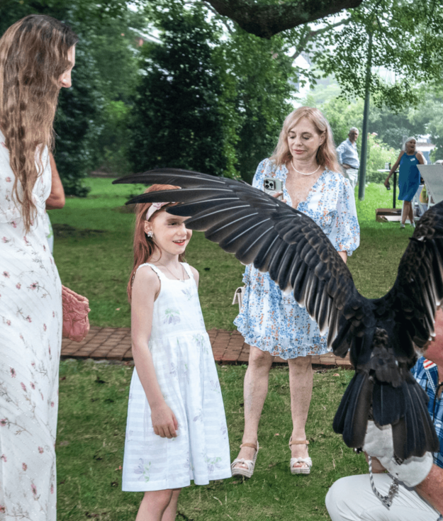 Vlad the turkey vulture is an Evelyn Alexander Wildlife Rescue Center ambassador